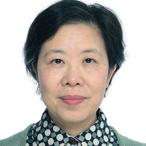 Prof. Wang Jun
