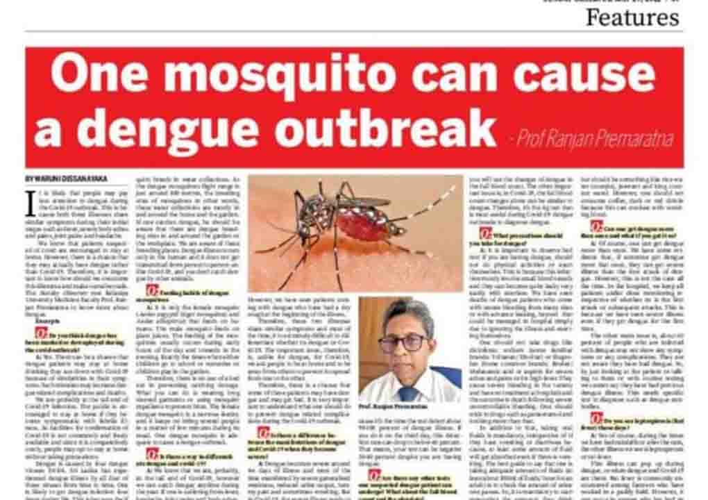 One mosquito can cause a dengue outbreak